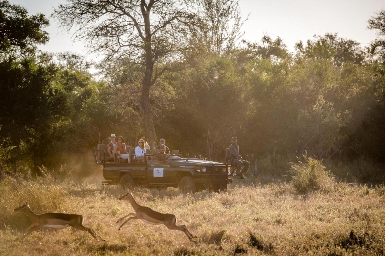 Umkumbe Bush - Luxury Tented Camp Luxury tent *