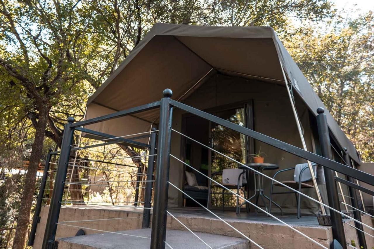Luxury tent Umkumbe Bush - Luxury Tented Camp *