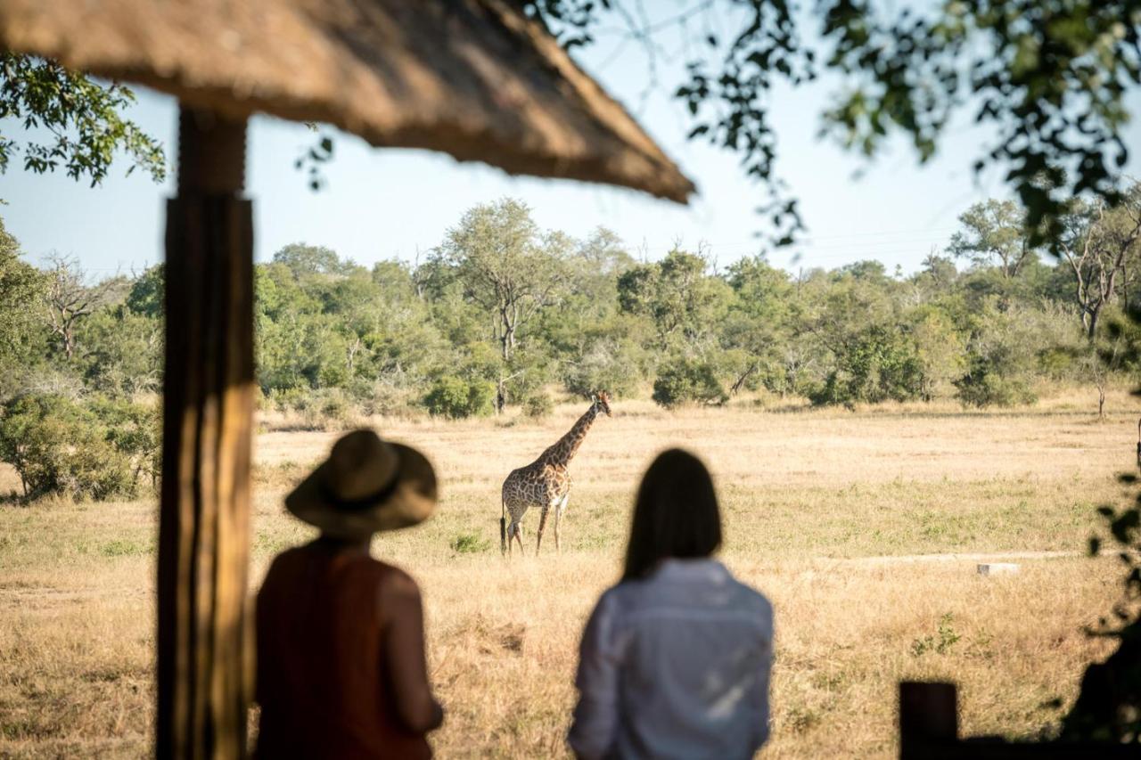 Luxury tent Umkumbe Bush - Luxury Tented Camp *